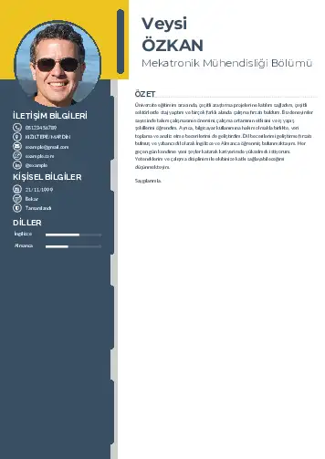 Mekatronik Mühendisliği Cv Örnekleri cv indir